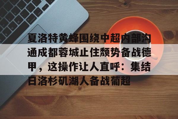 体育APP-中超蓉城直播