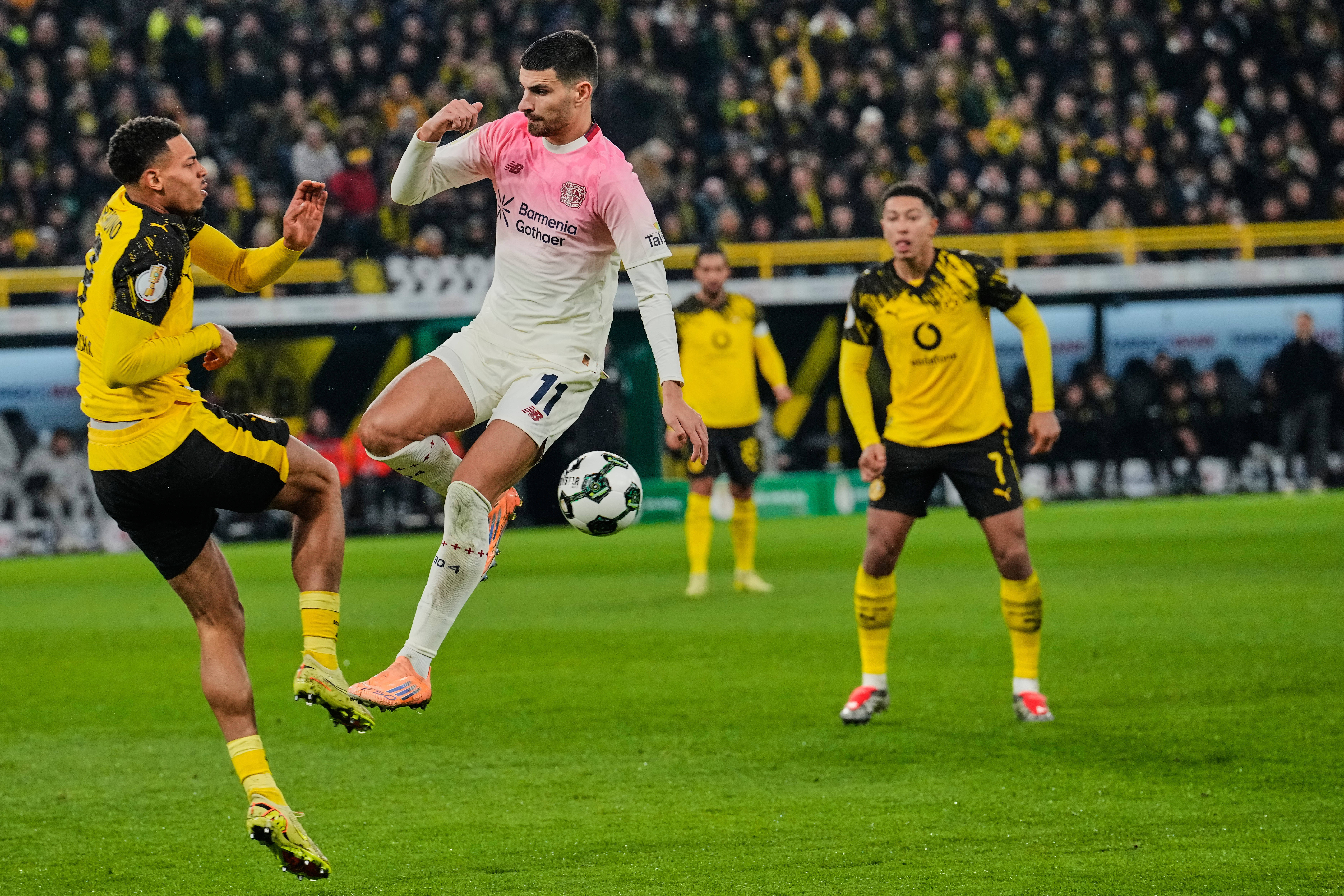 万博体育-里德尔 多特